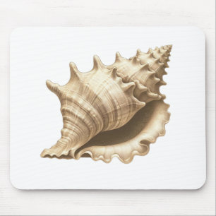 Coastal/beach/nautical seashell  mouse mat