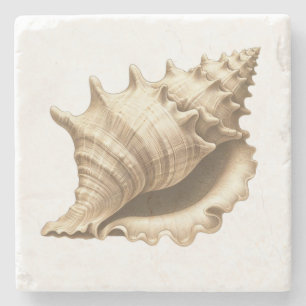 Coastal/beach/nautical seashell stone coaster