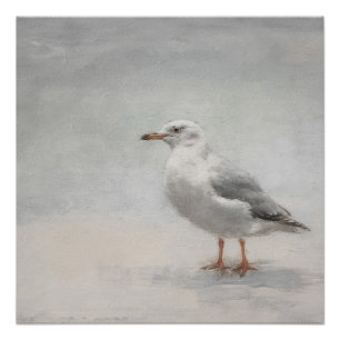 Coastal Beach Seagull Landscape Poster