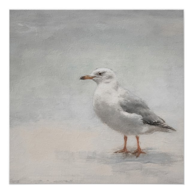 Coastal Beach Seagull Landscape Poster (Front)