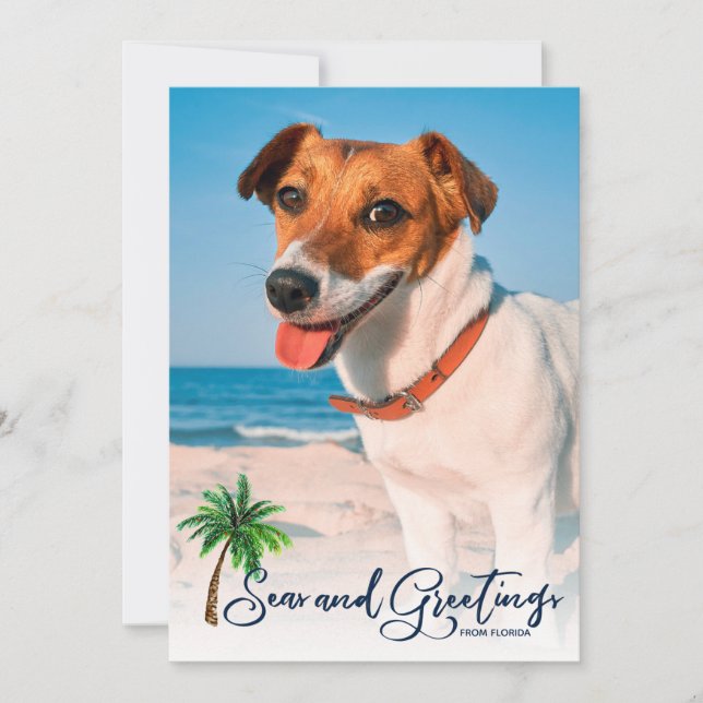 Coastal Beach Seas & Greetings Christmas 2-Photo Holiday Card (Front)