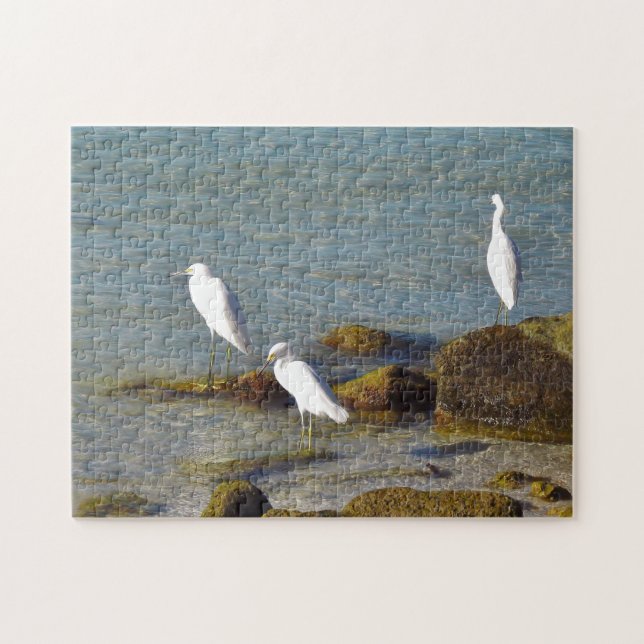 Coastal Birds Jigsaw Puzzle (Horizontal)