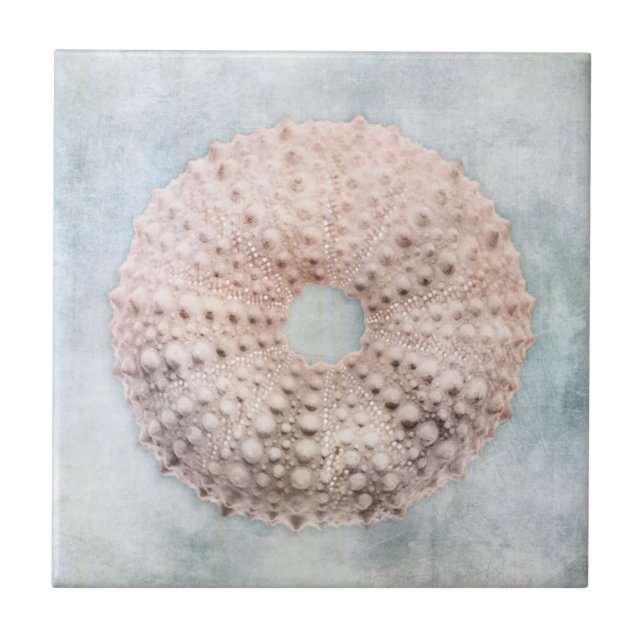 Coastal Blue and Peach Cream Distressed Beach Sea Tile (Front)