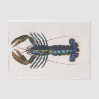 coastal blue crawfish watercolor tissue paper