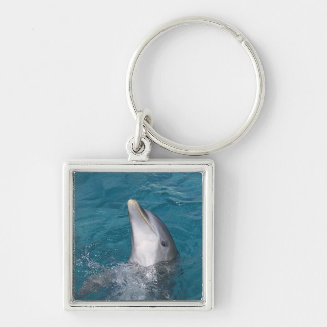 Coastal Bottlenose Dolphin Key Ring (Front)