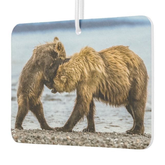 Coastal brown bears car air freshener (Left)