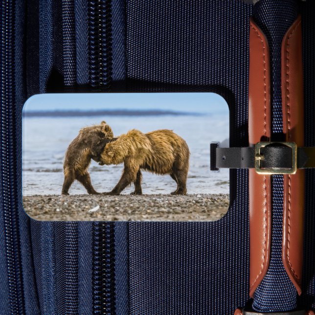 Coastal brown bears luggage tag (Front Insitu 4)