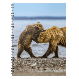 Coastal brown bears notebook