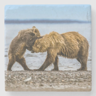Coastal brown bears stone coaster