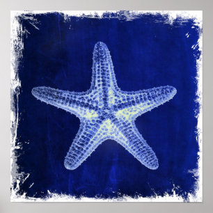 coastal chic beach rustic nautical blue starfish poster