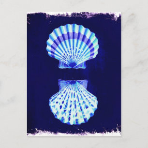 coastal chic beach rustic nautical navy seashells postcard