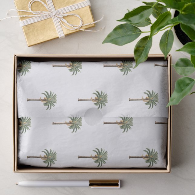 Coastal Chic Royal Palm Tree Botanical Pattern Tissue Paper (Gift)