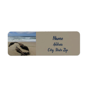 Coastal Driftwood Landscape Photo Beach House