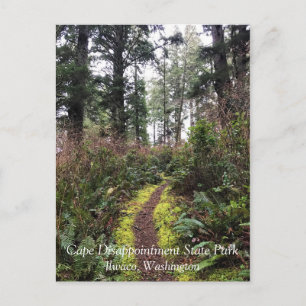 Coastal Forest Loop Trail, Cape Disappointment, WA Postcard