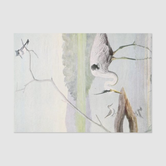 Coastal heron, kingfisher and sandpiper watercolor tissue paper (Front)