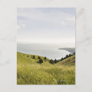 Coastal hills, Bolinas Ridge, California Postcard