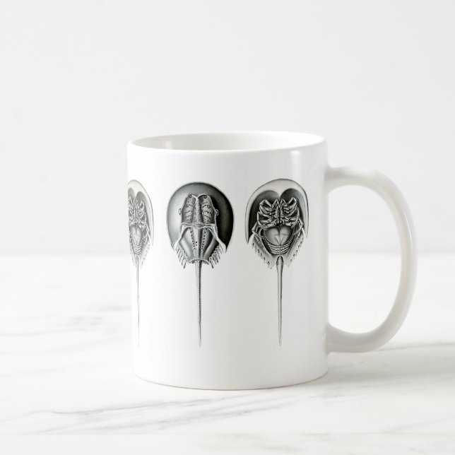 Coastal Horseshoe Crab Coffee Mug (Right)