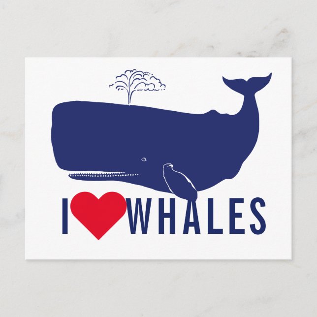 Coastal I Love Whales Quote Modern Blue Typography Postcard (Front)