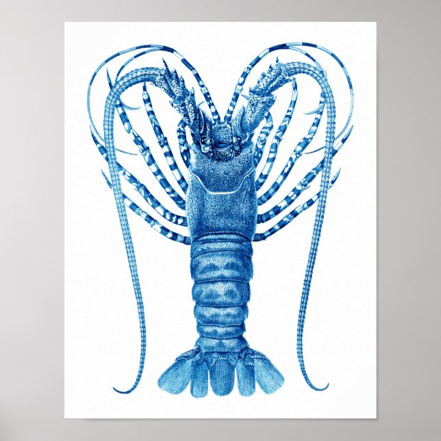 Coastal Kitchen Art Decor Blue Lobster Print no.8 (Front)