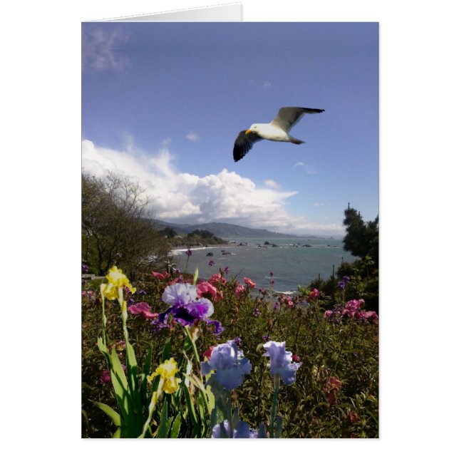 Coastal Living (Front)