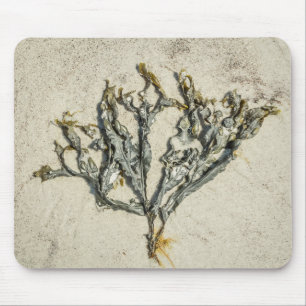Coastal Maine Seaweed on a Sandy Beach Mouse Mat