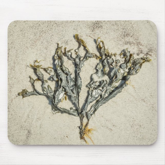 Coastal Maine Seaweed on a Sandy Beach Mouse Mat (Front)