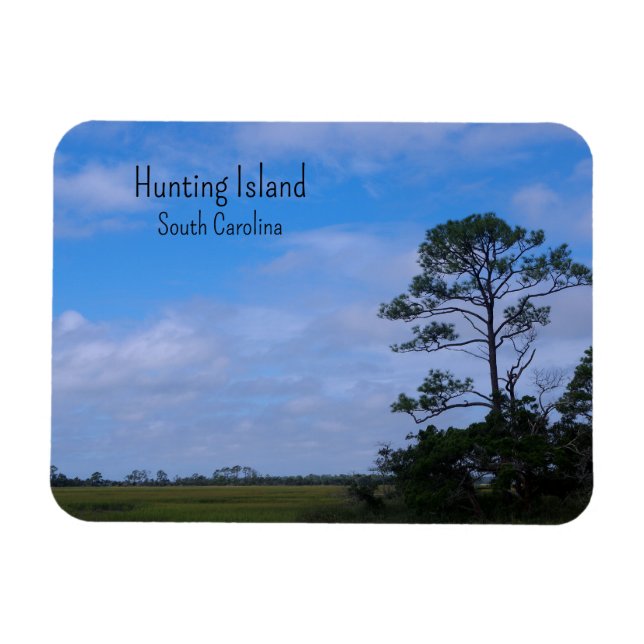 Coastal Marsh Magnet (Horizontal)
