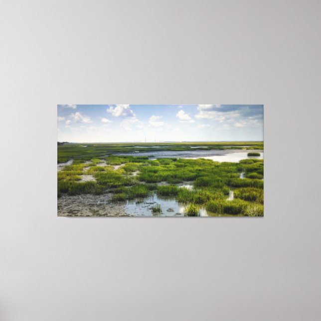 Coastal Marshland with Distant Bridge Canvas Print (Front)