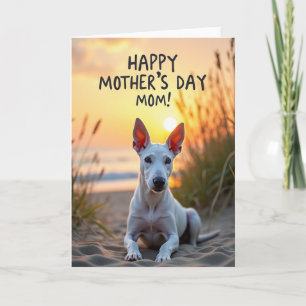 Coastal Mothers Day Love Card