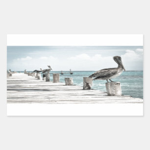 Coastal Ocean Pelican Rectangular Sticker