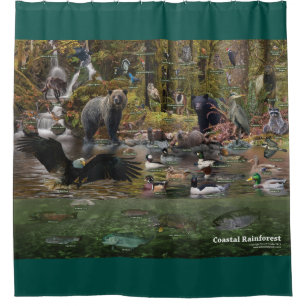 Coastal Rainforest Shower Curtain