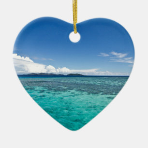 Coastal Reef, Fiji Ceramic Tree Decoration