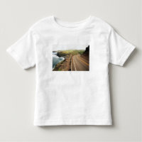 Coastal Road