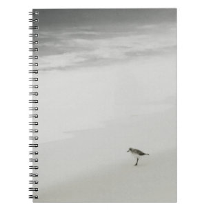 Coastal Sandpiper on the Beach Notebook
