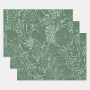 Coastal Sea Shell Beach Green White Decoupage Wrapping Paper Sheet