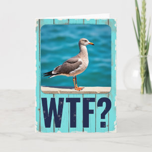 Coastal Seabird Birthday Card