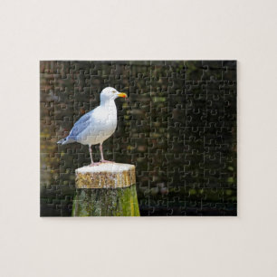 Coastal Seagull Bird and Ocean Wildlife Photo Jigsaw Puzzle