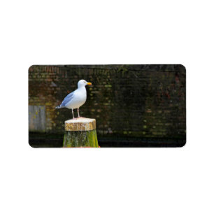 Coastal Seagull Bird and Ocean Wildlife Photo Label