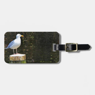 Coastal Seagull Bird and Ocean Wildlife Photo Luggage Tag