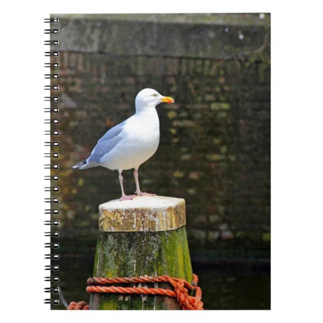 Coastal Seagull Bird and Ocean Wildlife Photo Notebook (Front)