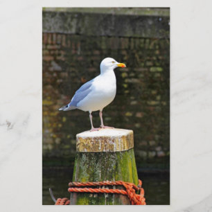 Coastal Seagull Bird and Ocean Wildlife Photo Stationery