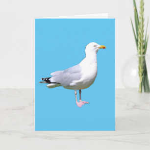 Coastal Seagull Bird Illustration, Beach & Nature Card