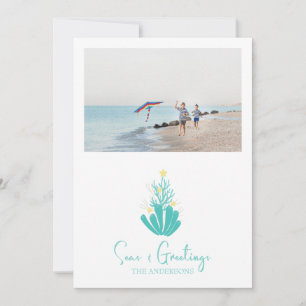 Coastal Seas and Greetings Coral Holiday Card