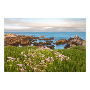 Coastal Spring Photo Print