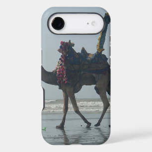 Coastal tribal Camel.JPG