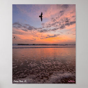 Coastal Vibes 2023 Poster