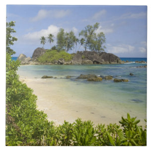Coastal view on Mahe Island Tile
