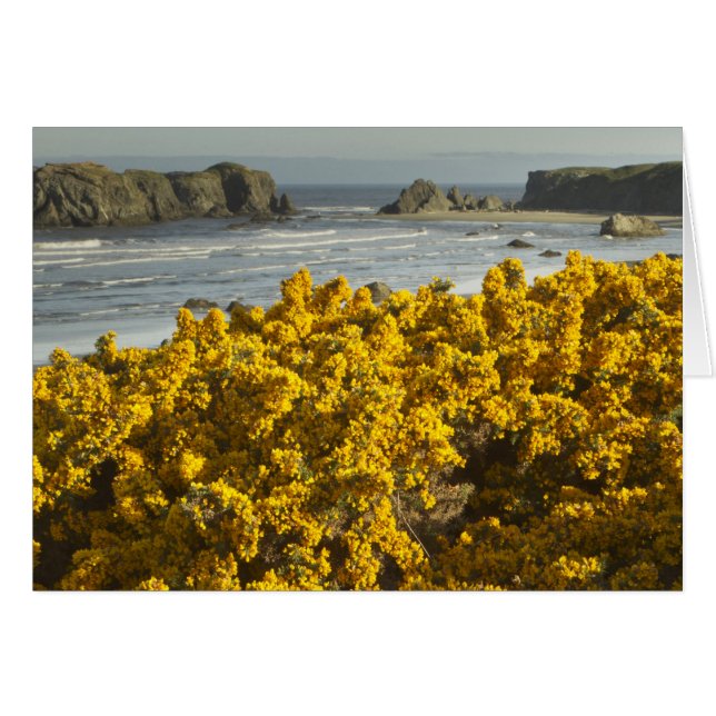 Coastal views, Bandon, Oregon (Front Horizontal)