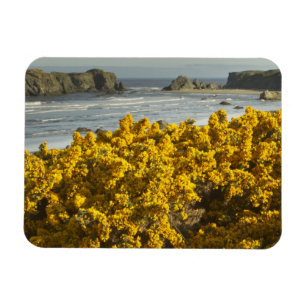 Coastal views, Bandon, Oregon 2 Magnet