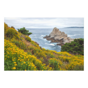 Coastal Yellow Wildflowers Scenery Photo Print